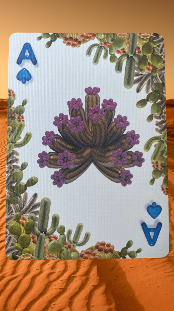 Balloon Desert Bicycle Playing Cards Online Hot Sale - Image 3